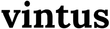 IT governance & technology investment advisory - VINTUS